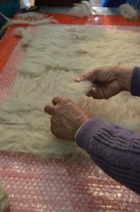 The first step of felt making
